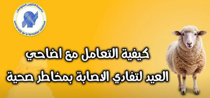  كيفية التعامل مع أضاحي العيد لتفادي الاصابة بمخاطر صحية